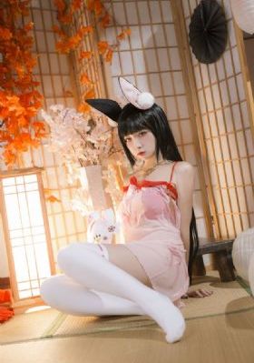毛茸茸多毛BBB毛多视频_1080在线观看完整版